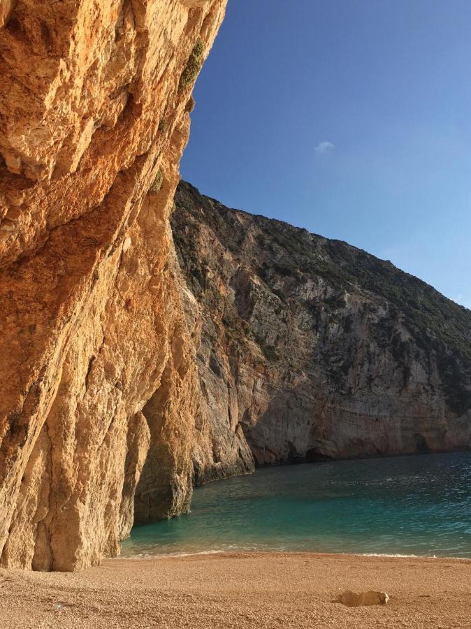 Kallimos فاسيليكي المظهر الخارجي الصورة