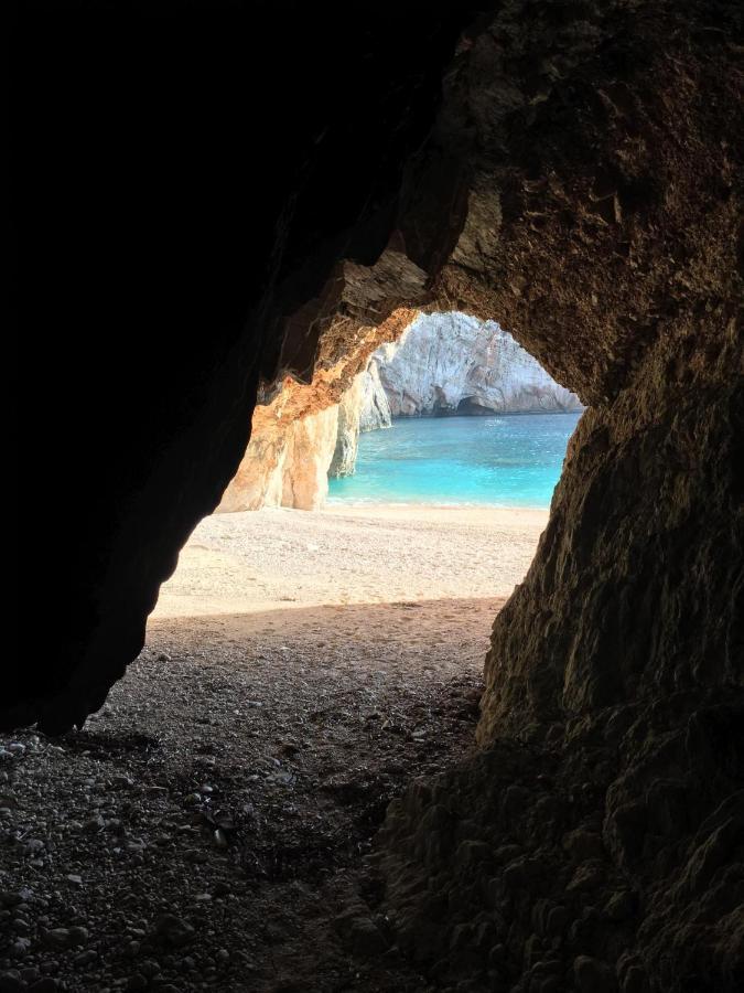 Kallimos فاسيليكي المظهر الخارجي الصورة