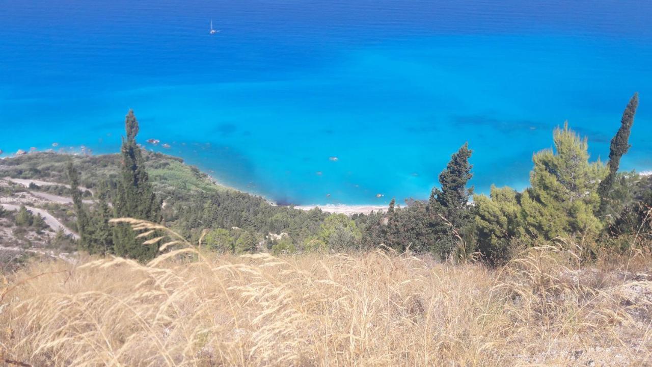 Kallimos فاسيليكي المظهر الخارجي الصورة