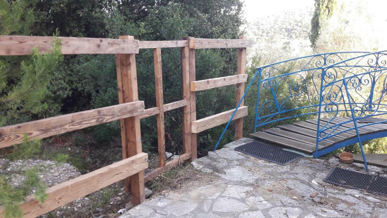 Kallimos فاسيليكي المظهر الخارجي الصورة