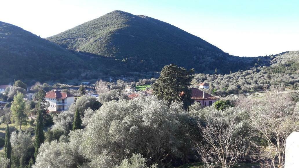 Kallimos فاسيليكي المظهر الخارجي الصورة